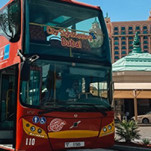 City Sightseeing Tour