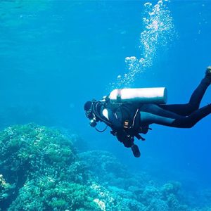 Scuba Diving Tour