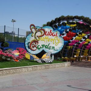 Butterfly Garden Dubai