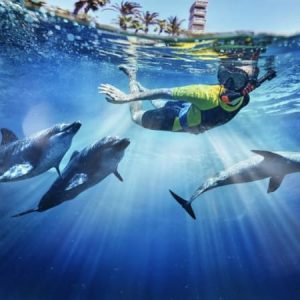 Dolphin Bay Atlantis