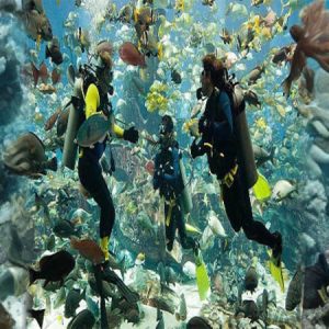 Scuba Diving Tour