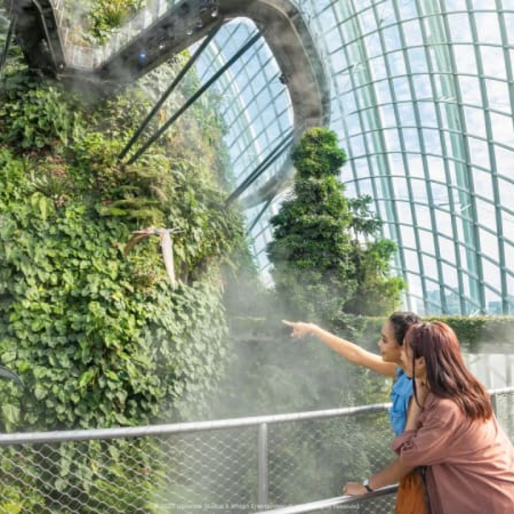 Gardens by the Bay