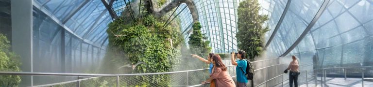 Gardens by the Bay