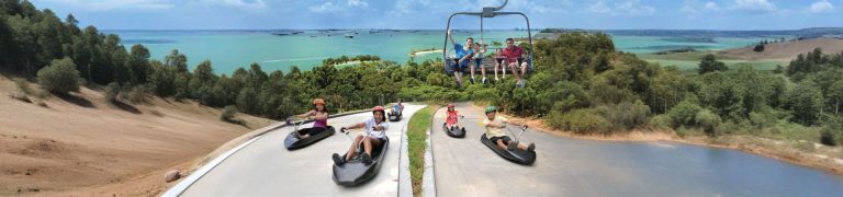 Skyline Luge Singapore