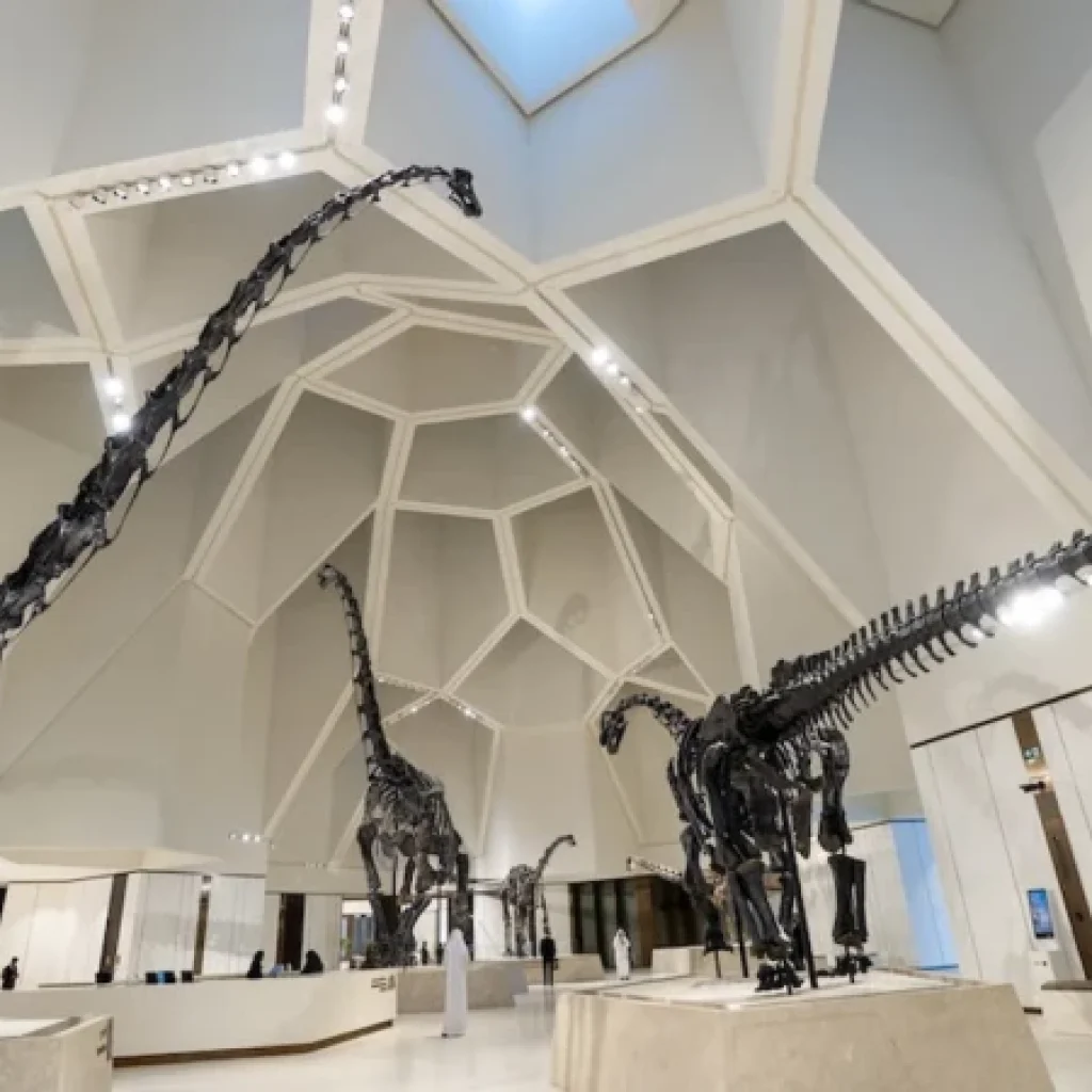 Natural History Museum Abu Dhabi