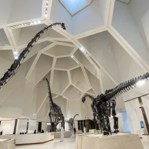 Natural History Museum Abu Dhabi