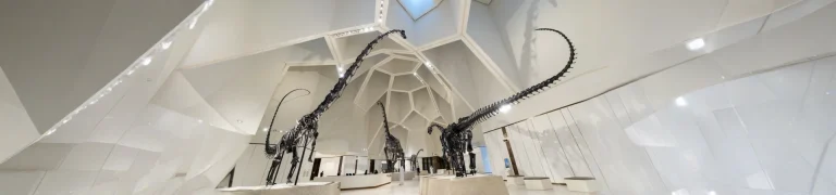 Natural History Museum Abu Dhabi