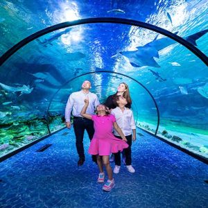 The National Aquarium Abu Dhabi