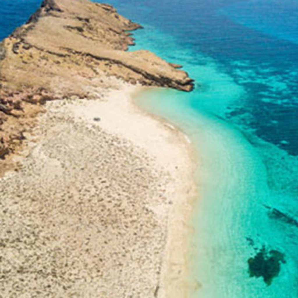 Damaniyat Island Trip