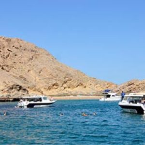 Dolphins Watching and Snorkelling Trip
