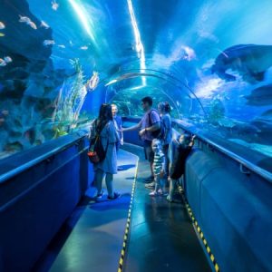 Aquaria KLCC Kuala Lumpur
