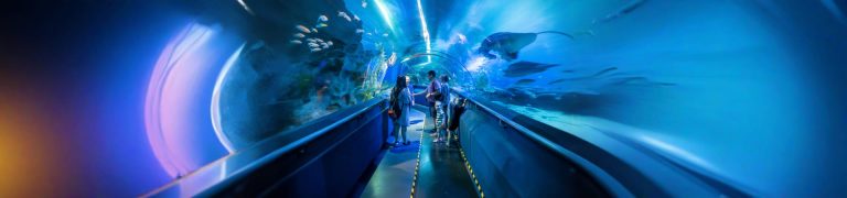 Aquaria KLCC Kuala Lumpur