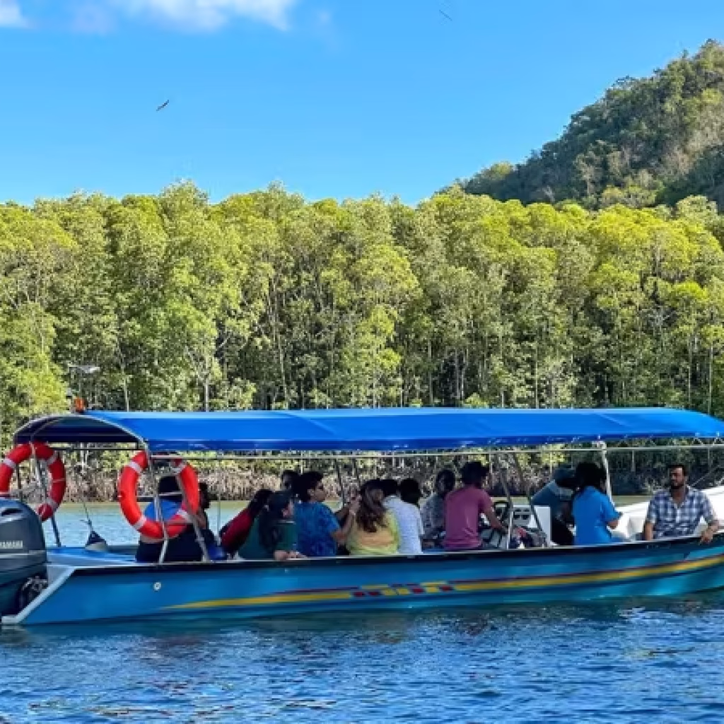 Langkawi Mangrove Tour with Shared Boat