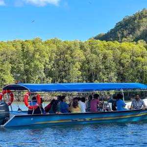 Langkawi Mangrove Tour with Shared Boat