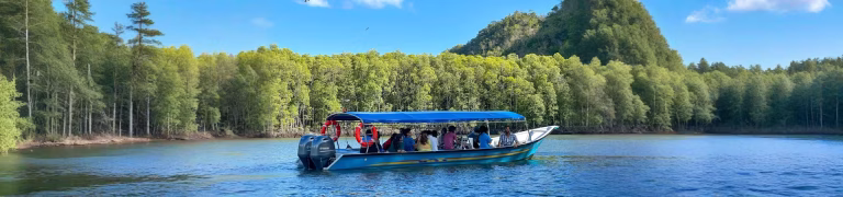 Langkawi Mangrove Tour with Shared Boat