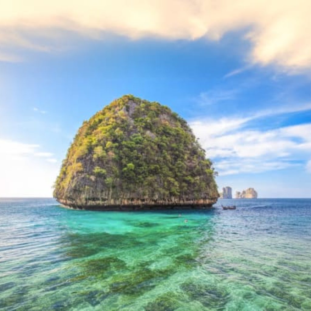 Phi Phi Island Bamboo Island Maya Bay and Pileh Lagoon by Speed Boat