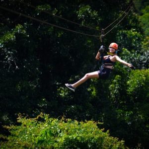 Tree Bridge Zipline
