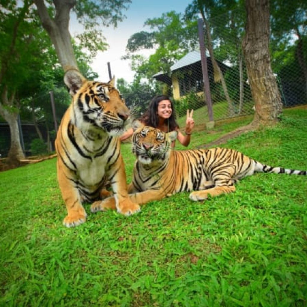 Phuket City tour with Tiger Kingdom