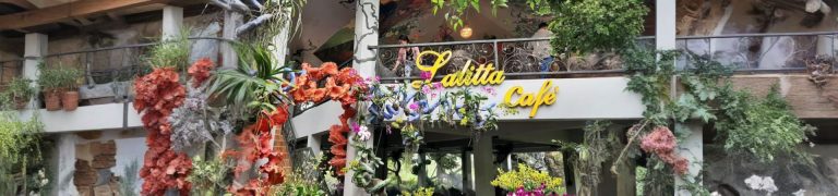 Temples and Museum tour with Lalitta Cafe