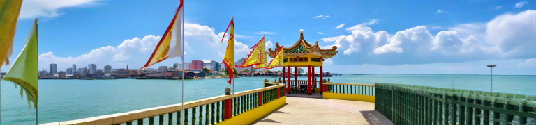 Best of Penang Island Full Day Tour