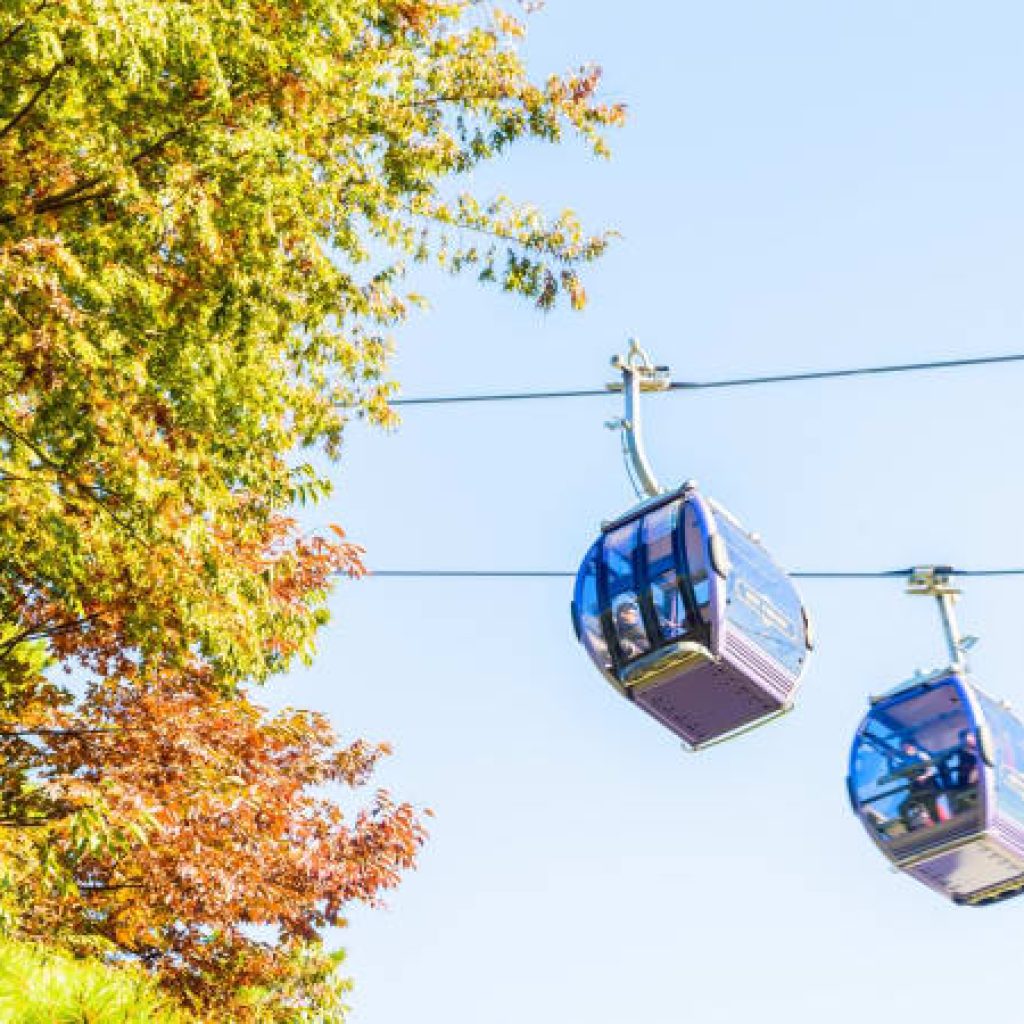 Full Day Langkawi Island Tour With Skybridge And Cable Car Ride