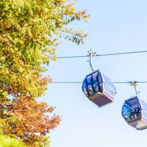 Full Day Langkawi Island Tour With Skybridge And Cable Car Ride