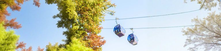 Full Day Langkawi Island Tour With Skybridge And Cable Car Ride