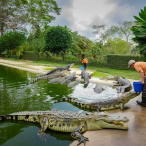 Langkawi Wildlife Park