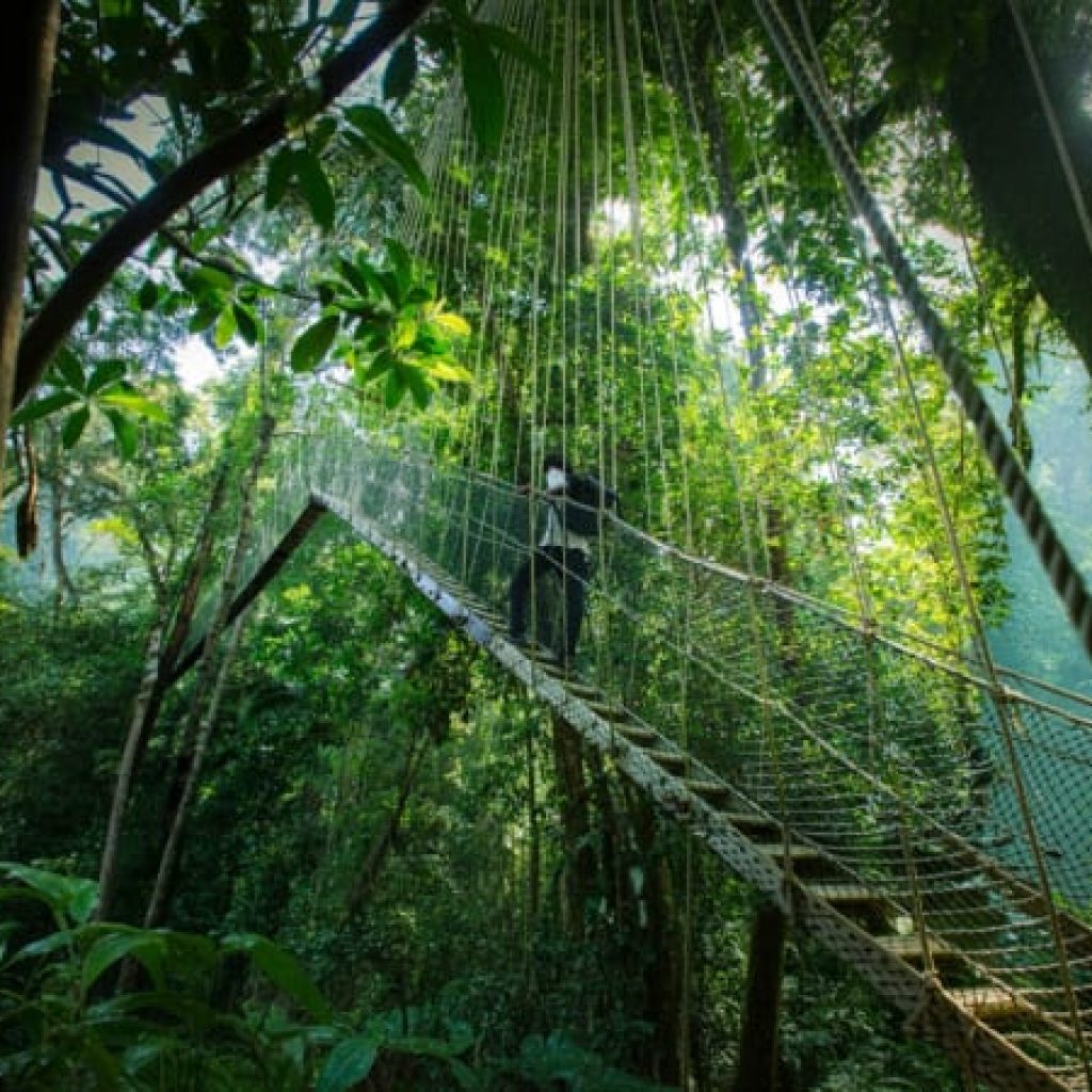 Taman Negara Tour with Lata Berkoh Falls and River Expedition