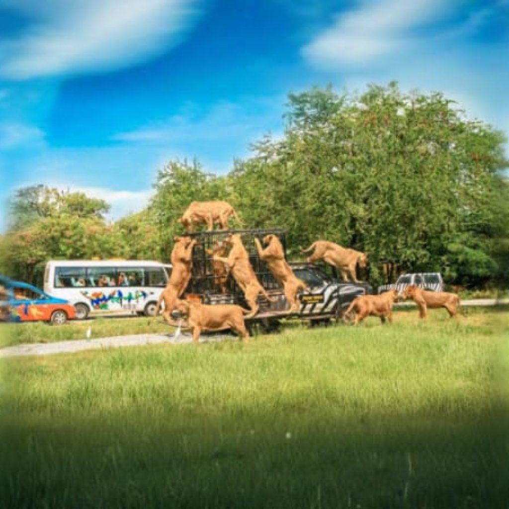 Thailand Test Tour Extranet