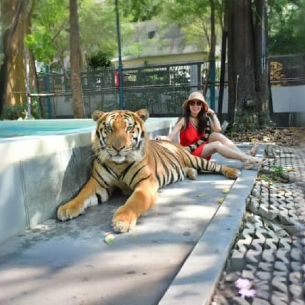 Tiger Park