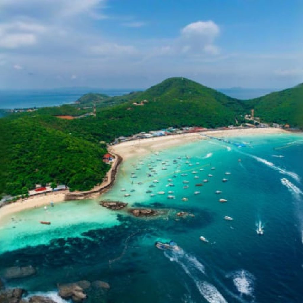 Coral Island