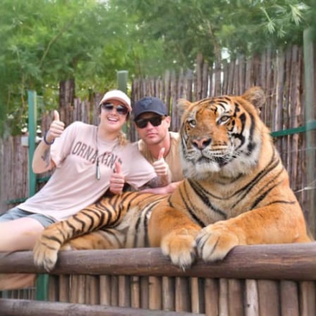 Tiger Kingdom