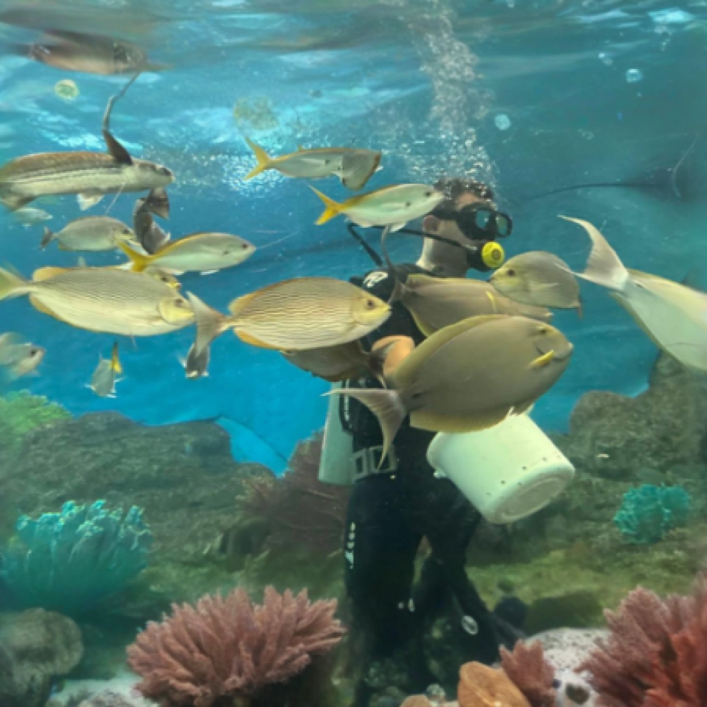 Underwater World