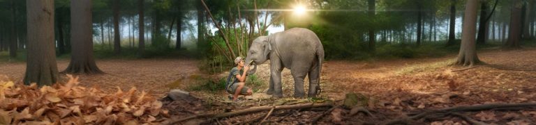 Pattaya Elephant Sanctuary