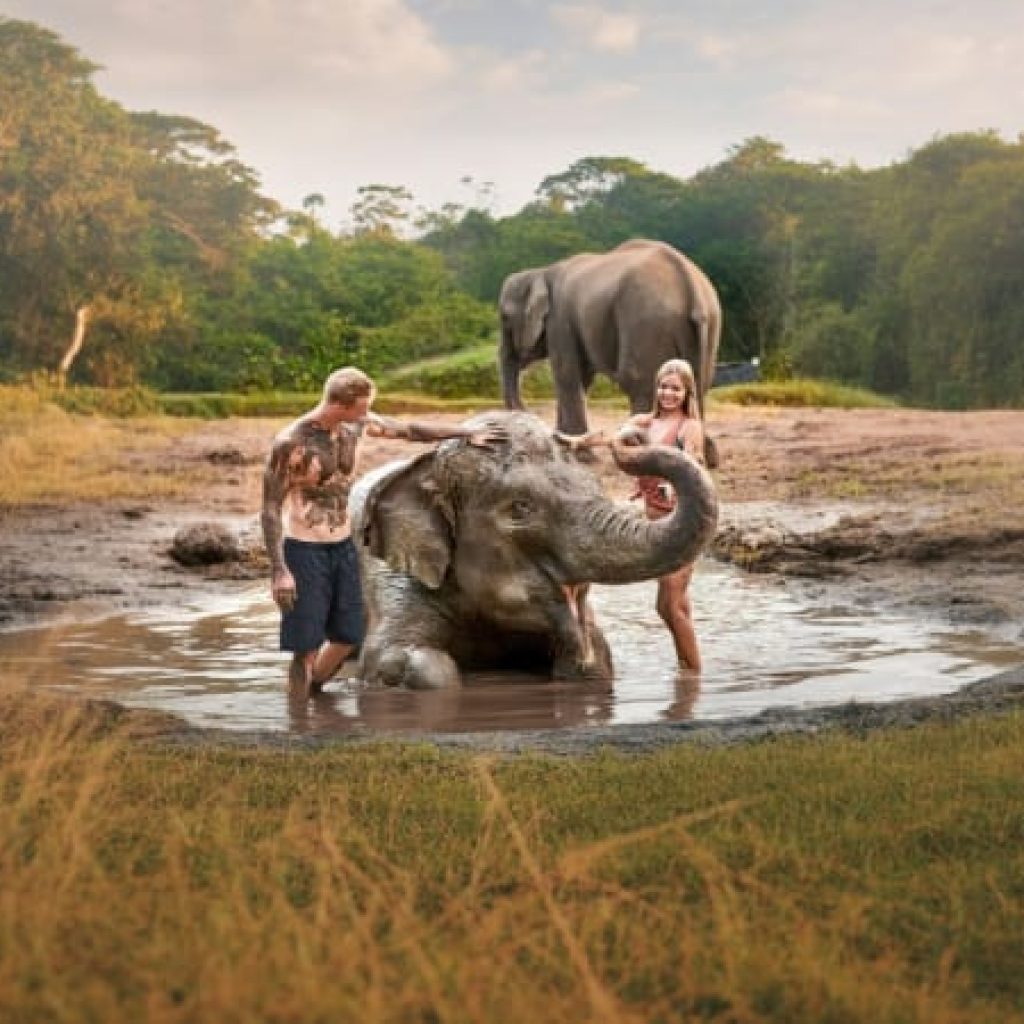 Bali Zoo