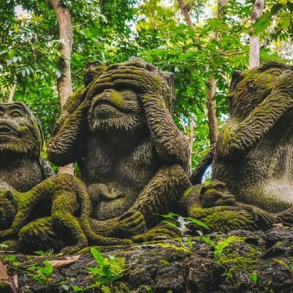 Sacred Monkey Forest Ubud