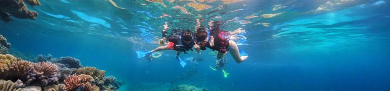 Snorkelling Day Tour in Nusa Lembongan and Nusa Penida from Bali