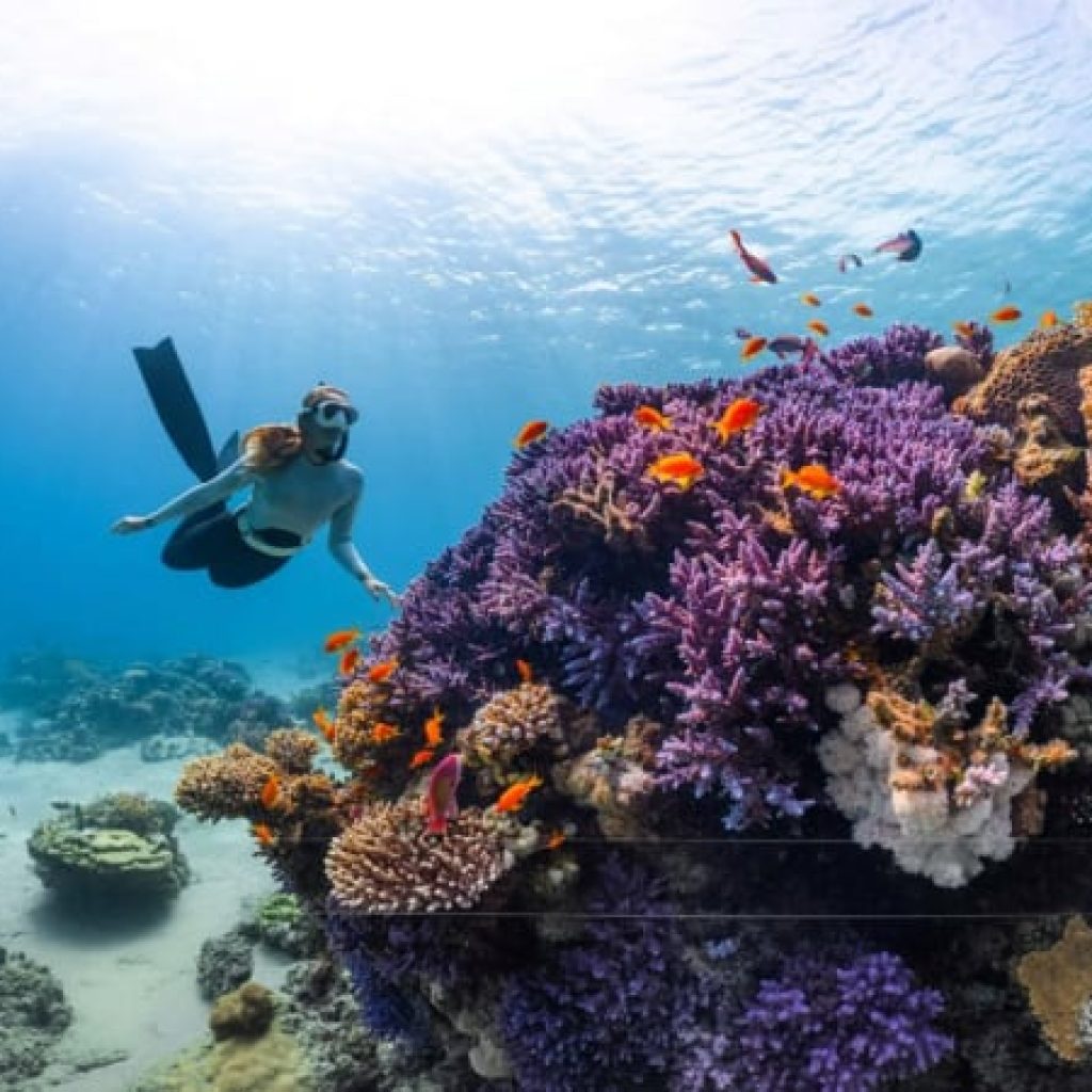 Scuba Diving Gili Islands