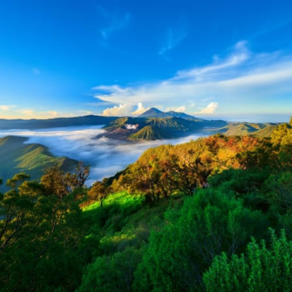 Mount Bromo Sunrise with Madakaripura Waterfall or Savannah Hills Tour