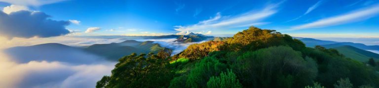 Mount Bromo Sunrise with Madakaripura Waterfall or Savannah Hills Tour