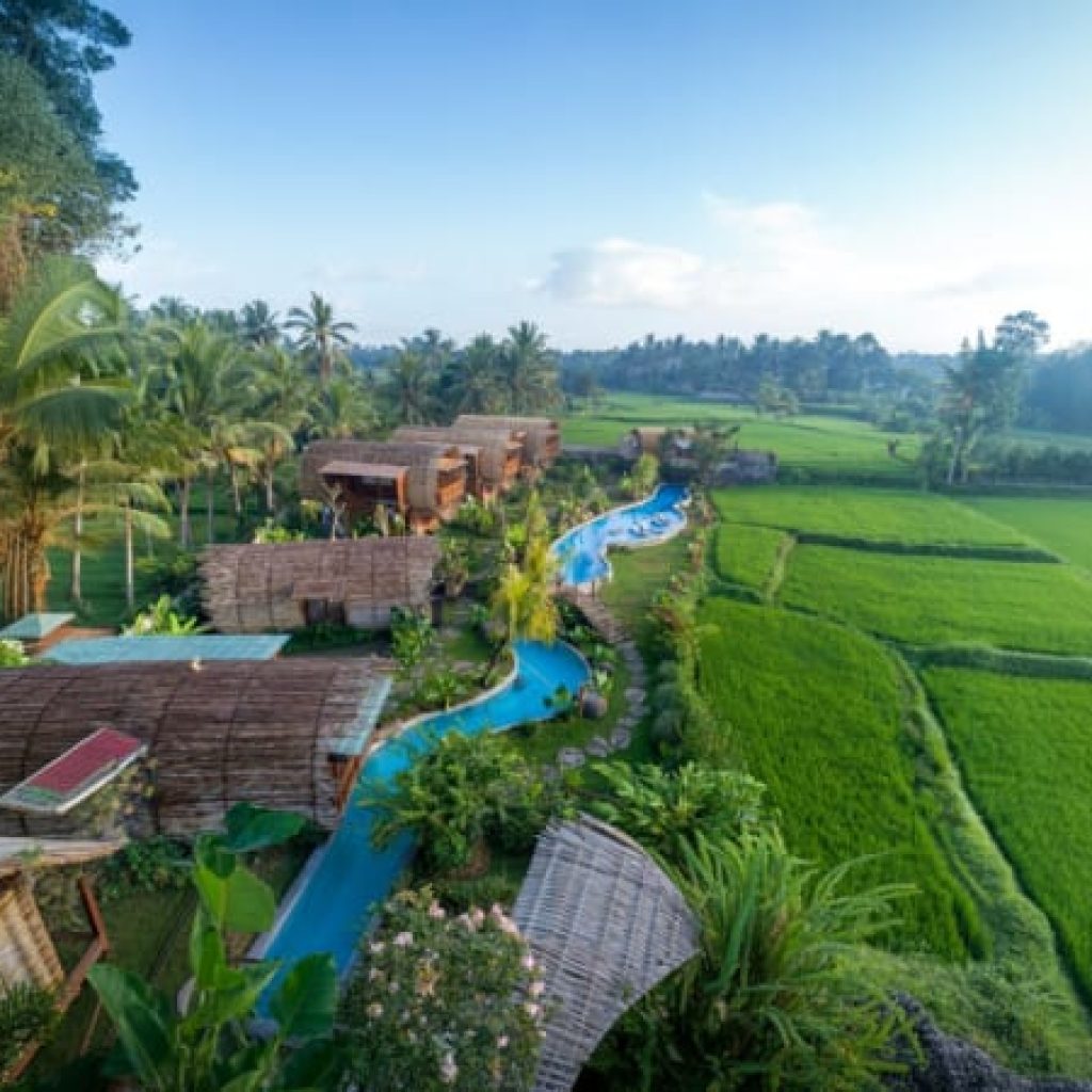Dining Experience at Bee Cafe Ubud Bali
