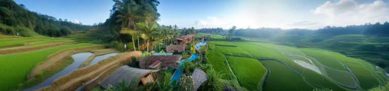 Dining Experience at Bee Cafe Ubud Bali