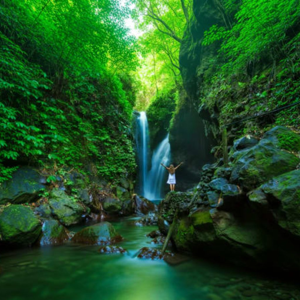 Bali Private Full Day Temple And Waterfall Tour