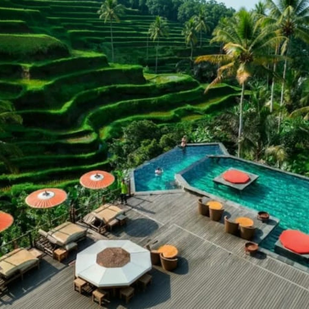 D Tukad Coffee Club in Ubud Bali