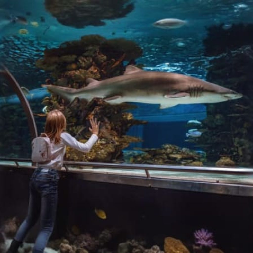 Aquaria Phuket