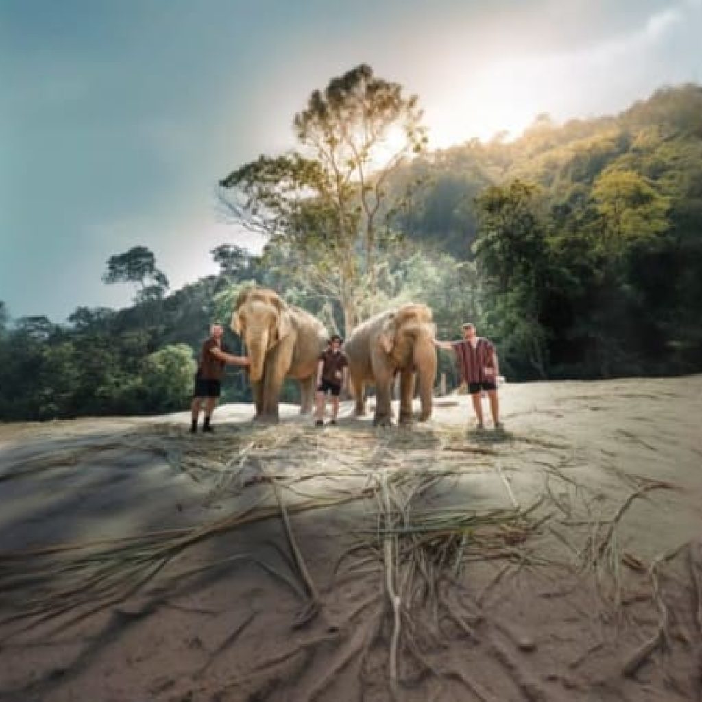 Elephant Wildlife Sanctuary