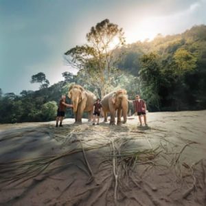 Elephant Wildlife Sanctuary