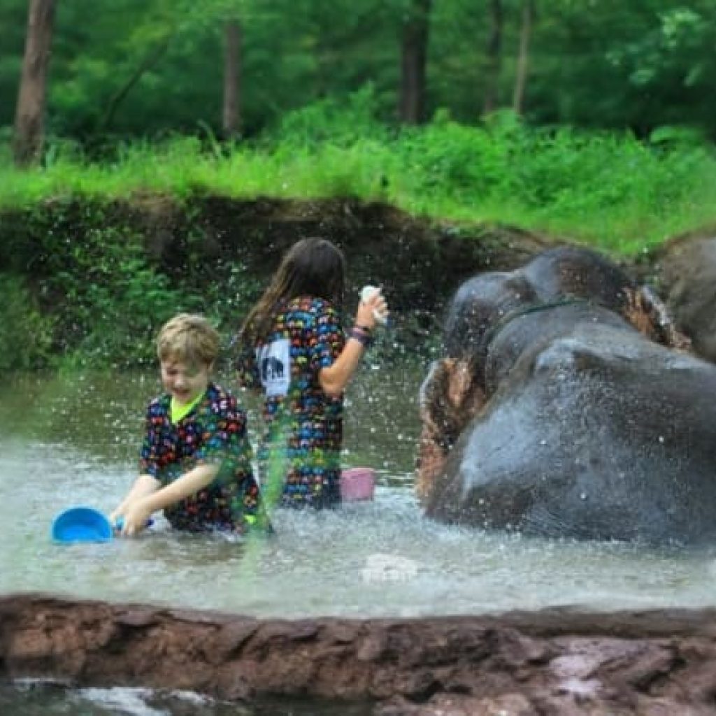 Kanta Elephant Sanctuary Full Day Visit