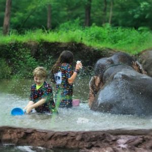 Kanta Elephant Sanctuary Full Day Visit